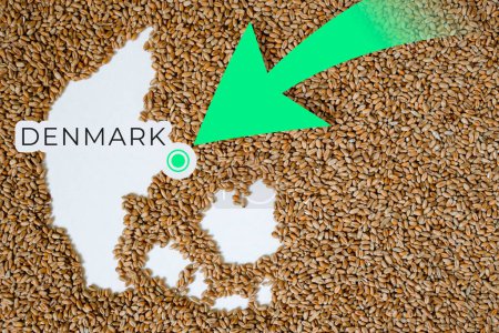 Mapa de Dinamarca lleno de grano de trigo. Dirección flecha verde. Espacio para texto.