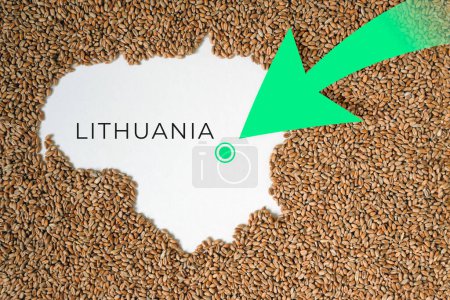 Mapa de Lituania lleno de grano de trigo. Dirección flecha verde. Espacio para texto.