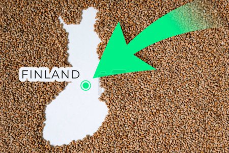 Mapa de Finlandia lleno de grano de trigo. Dirección flecha verde. Espacio para texto.