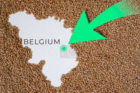Map of Belgium filled with wheat grain. Direction green arrow. Space for text.