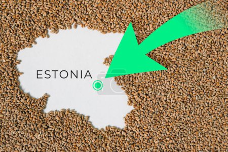 Map of Estonia filled with wheat grain. Direction green arrow. Copy space.