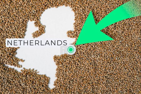 Photo for Map of Netherlands filled with wheat grain. Direction green arrow. Space for text. - Royalty Free Image