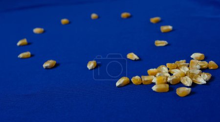 Granos de maíz. Bandera de la Unión Europea. Fondo azul. Políticas agrícolas de la UE.