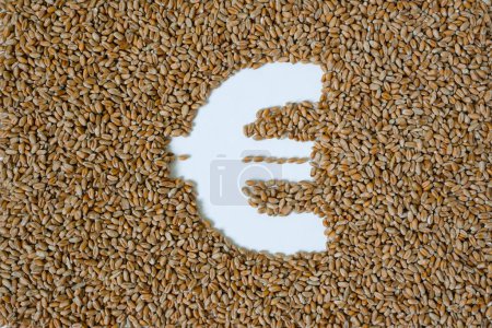 Euro símbolo hecho de grano de trigo. Vista superior.