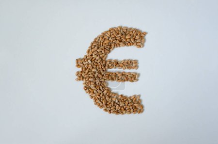 Euro símbolo hecho de grano de trigo. Fondo blanco. 