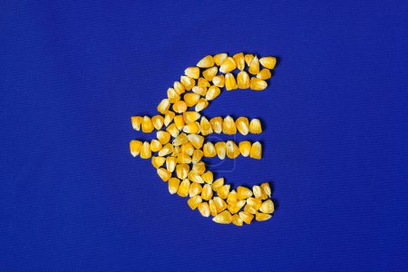 Euro símbolo hecho de grano de maíz. Fondo azul de la bandera de la Unión Europea.