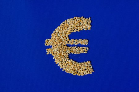 Euro símbolo hecho de grano de trigo. Fondo azul de la bandera de la Unión Europea.
