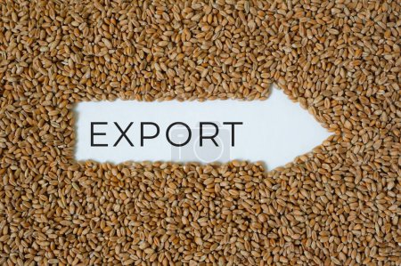 Pfeil. Das Wort Export. Hintergrund Weizengetreide.