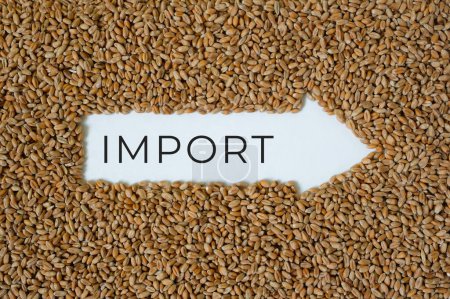 Photo for Arrow. The word import. Wheat grain background. - Royalty Free Image