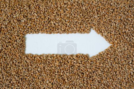 White Arrow. Wheat grain background. Copy space. 