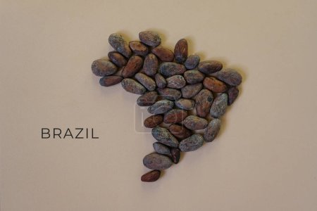Karte von Brasilien gefüllt mit Kakaobohnen.