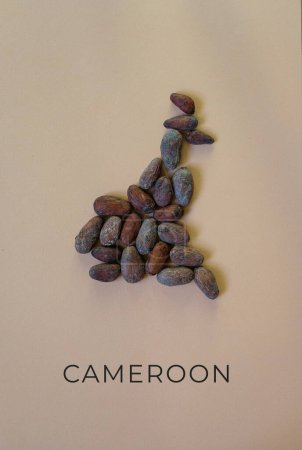 Karte von Kamerun mit Kakaobohnen gefüllt.