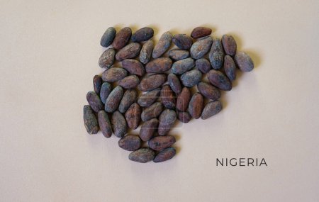 Karte von Nigeria mit Kakaobohnen gefüllt.