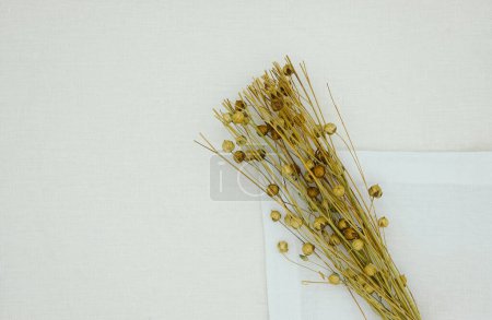 Dry flax seed pods on a white linen cloth. Place for text.