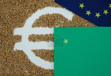 Euro-Symbol. Weizen. Getreide. Flagge der Europäischen Union. Europäischer Grüner Deal. Raum für Text. Ansicht von oben.