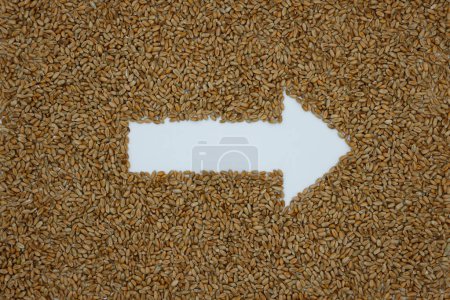Photo for Wheat. Right Arrow. Grain background. Grain supply. Agricultural independence. - Royalty Free Image
