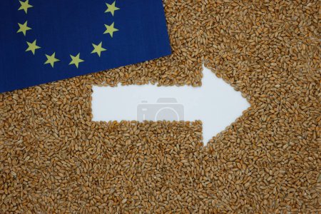 Wheat grain arrow background. European Union flag. European Green Deal. Top view. Copy space.