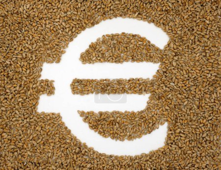 Euro symbol. Wheat. Grain. European Union Green Deal. Top view.