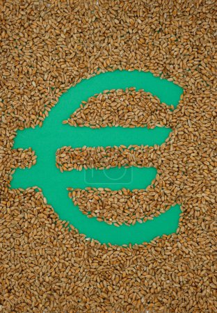 Euro symbol. Wheat. Grain. Challenges of European Green Deal. Top view.