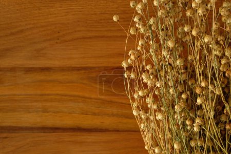 Dry flax seed pods are on the wooden table. Place for text.