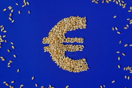 Euro symbol. Wheat. Grain. Blue European Union Flag background. Agriculture trade policies.