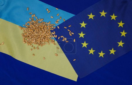 Weizenkörner. Flagge der Europäischen Union. Ukraine-Flagge. Konzept.