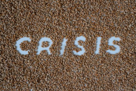 Photo for Word Crisis is made of wheat. Grain crisis. - Royalty Free Image