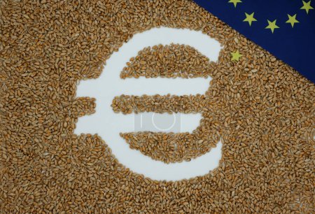 Euro symbol. Wheat. Grain. European Union flag. Fallen star. New members or withdrawal from the European Union.