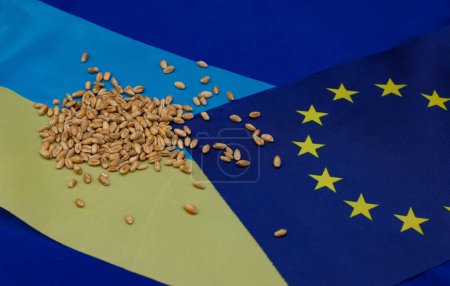Téléchargez les photos : Des céréales. Du blé. Drapeau de l'Union européenne. Drapeau Ukraine. Espace de copie. - en image libre de droit