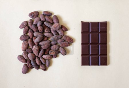 Des fèves de cacao. Barre chocolatée. Fabrication de chocolat entre haricots et barres.