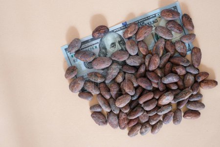 Des fèves de cacao. Dollar américain ou Dollar américain. Le prix des fèves de cacao. Fond de couleur pêche. Espace de copie.