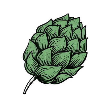 Téléchargez les illustrations : Dessin houblon d'une plante verte avec une feuille verte. Isolé sur fond blanc. - en licence libre de droit