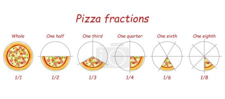 Pizzas fraccionadas. Fracción de pastel o pizzas fraccionadas en rebanadas. Anillo de división matemática para hoja de trabajo infantil, gráfico matemático mitad de la línea circular del gráfico circular. Fracciones de pizza cantidad rebanadas. Vector