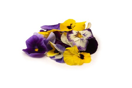 Purple and yellow edible flowers isolated on a white background.
