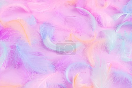 Photo for Colorful feather background, top view. - Royalty Free Image