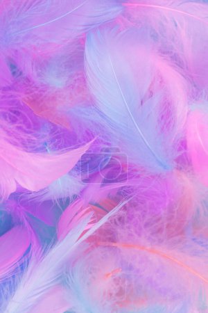 Photo for Colorful feather on mint background, top view. - Royalty Free Image