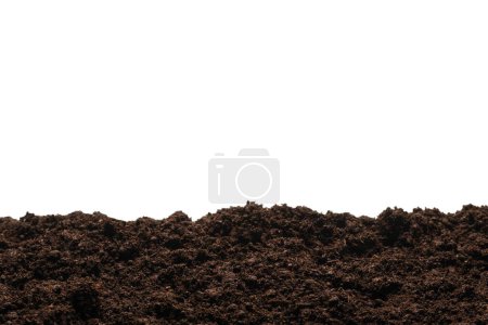 Téléchargez les photos : Terrain noir pour plante isolé sur fond blanc. - en image libre de droit