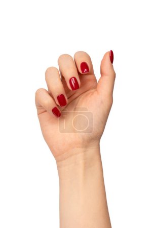 Photo for Woman hands with wine red color nails isolated on a white background. Red nail polish. Square nail form. - Royalty Free Image