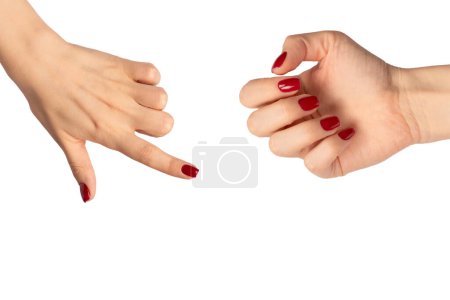 Manos de mujer con clavos de color rojo vino aislados sobre un fondo blanco. Esmalte de uñas rojo. Forma de clavo cuadrado. 