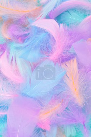 Colorful feather on mint background, top view. 