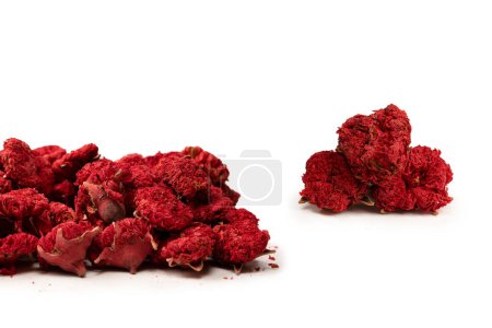 Dried pomegranate flower isolated on a white background. Top view. 