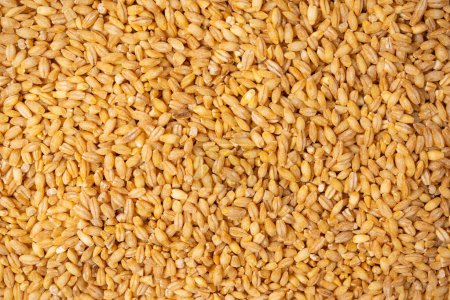 Photo for Wheat grain as a background. Top view. - Royalty Free Image