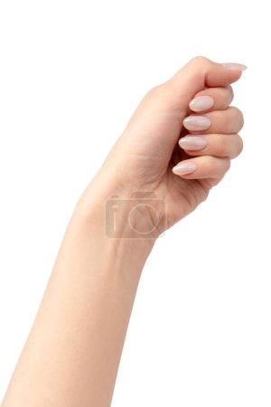Photo for Woman hands  isolated on a white background. Nude nail polish. - Royalty Free Image