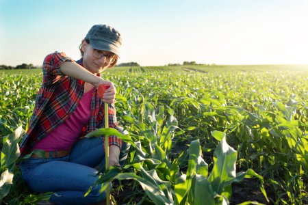 Photo for Middle age female caucasian maize farmer with tape measure kneeled for inspection corn stalks - Royalty Free Image