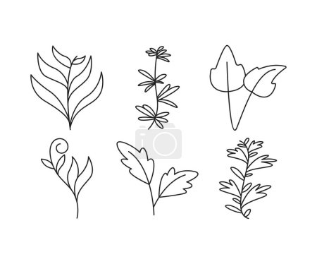 Téléchargez les illustrations : Cadres floraux décoratifs set ligne illustration - en licence libre de droit