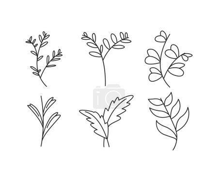 Illustration for Decorative floral frames set line illustration - Royalty Free Image