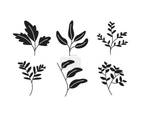 Illustration for Leaves and branch set vector illustration - Royalty Free Image