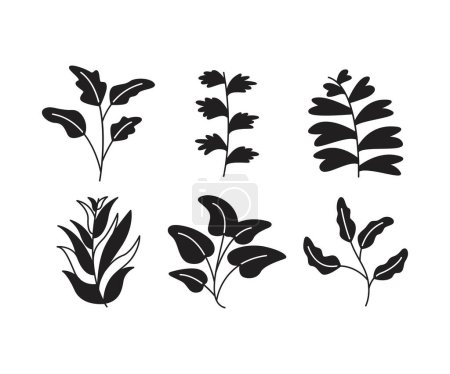 Illustration for Leaves and branch set vector illustration - Royalty Free Image