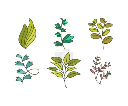 Téléchargez les illustrations : Foliage and Natural Leaves Illustration - en licence libre de droit