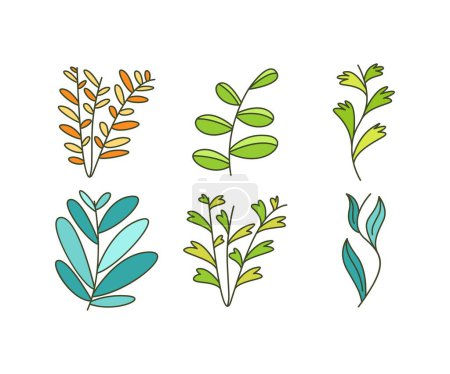 Téléchargez les illustrations : Foliage and Natural Leaves Illustration - en licence libre de droit